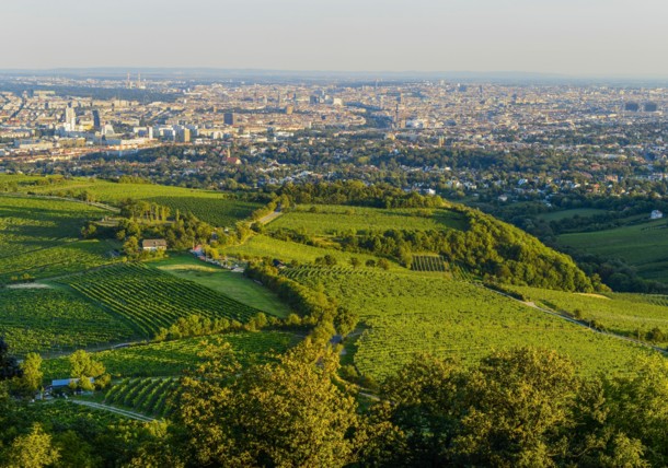     View of Vienna 